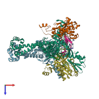 PDB entry 3raf coloured by chain, top view.