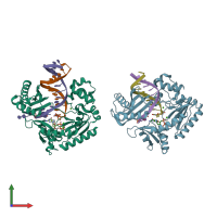 PDB entry 3rbe coloured by chain, front view.