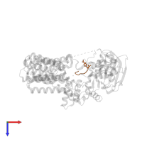 Substrate Mimic Peptide in PDB entry 3rce, assembly 1, top view.