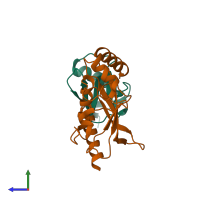 PDB entry 3rcz coloured by chain, side view.