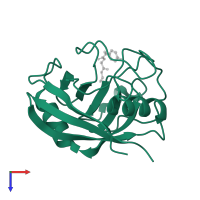Peptidyl-prolyl cis-trans isomerase F, mitochondrial in PDB entry 3rdc, assembly 1, top view.