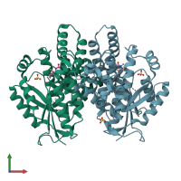 PDB entry 3rdp coloured by chain, front view.