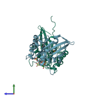 PDB entry 3ref coloured by chain, side view.