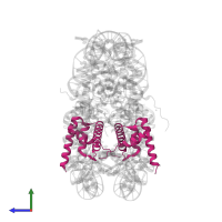 Histone H2B 1.1 in PDB entry 3reh, assembly 1, side view.