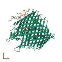 PDB entry 3rgn coloured by chain, front view.