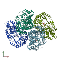 PDB entry 3rgt coloured by chain, front view.
