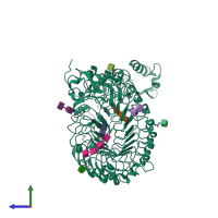 PDB entry 3rgx coloured by chain, side view.