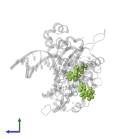 CYTIDINE-5'-TRIPHOSPHATE in PDB entry 3rh4, assembly 1, side view.