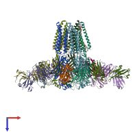 PDB entry 3rhw coloured by chain, top view.