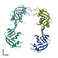 PDB entry 3rid coloured by chain, front view.