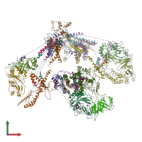 PDB entry 3rj1 coloured by chain, front view.