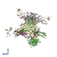 PDB entry 3rj1 coloured by chain, side view.