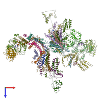 PDB entry 3rj1 coloured by chain, top view.