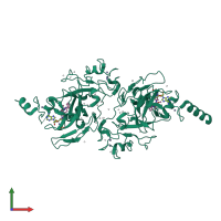 Homo dimeric assembly 1 of PDB entry 3rjw coloured by chemically distinct molecules, front view.