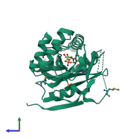 PDB entry 3rk0 coloured by chain, side view.