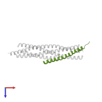 Complexin-1 in PDB entry 3rl0, assembly 1, top view.