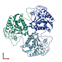 PDB entry 3rla coloured by chain, front view.