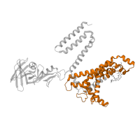 The deposited structure of PDB entry 3rlf contains 1 copy of Pfam domain PF00528 (Binding-protein-dependent transport system inner membrane component) in Maltose/maltodextrin transport system permease protein MalF. Showing 1 copy in chain B [auth F].