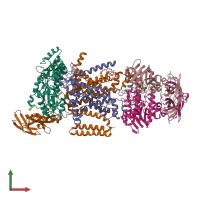 PDB entry 3rlf coloured by chain, front view.