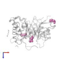 DI(HYDROXYETHYL)ETHER in PDB entry 3rlh, assembly 1, top view.