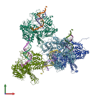 PDB entry 3rmb coloured by chain, front view.