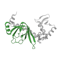 The deposited structure of PDB entry 3rpq contains 2 copies of Pfam domain PF00027 (Cyclic nucleotide-binding domain) in DNA-binding transcriptional dual regulator CRP. Showing 1 copy in chain B.