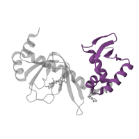 The deposited structure of PDB entry 3rpq contains 2 copies of Pfam domain PF13545 (Crp-like helix-turn-helix domain) in DNA-binding transcriptional dual regulator CRP. Showing 1 copy in chain B.