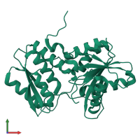 3D model of 3rr2 from PDBe