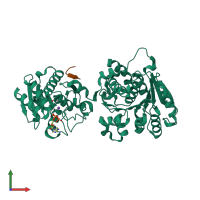 PDB entry 3rrj coloured by chain, front view.