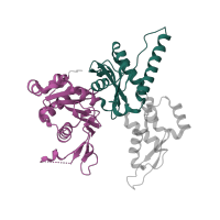 The deposited structure of PDB entry 3rse contains 2 copies of CATH domain 3.30.420.40 (Nucleotidyltransferase; domain 5) in Actin-related protein 3. Showing 2 copies in chain A.