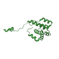 The deposited structure of PDB entry 3rse contains 1 copy of CATH domain 1.25.40.190 (Serine Threonine Protein Phosphatase 5, Tetratricopeptide repeat) in Actin-related protein 2/3 complex subunit 5. Showing 1 copy in chain G.