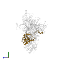 Actin-related protein 2/3 complex subunit 5 in PDB entry 3rse, assembly 1, side view.