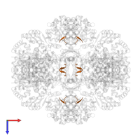 Unknown peptide, probably from expression host in PDB entry 3rsf, assembly 1, top view.