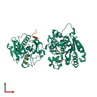 PDB entry 3rt7 coloured by chain, front view.