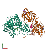 PDB entry 3rti coloured by chain, front view.