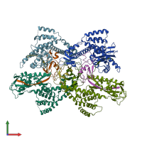 PDB entry 3rtr coloured by chain, front view.