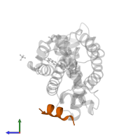 Nuclear receptor coactivator 1 in PDB entry 3ruu, assembly 1, side view.