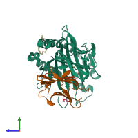 PDB entry 3rwg coloured by chain, side view.