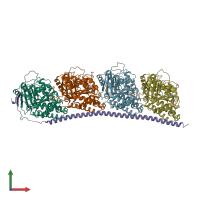 3D model of 3ryc from PDBe