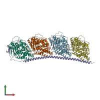 PDB entry 3ryf coloured by chain, front view.