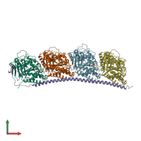 PDB entry 3ryh coloured by chain, front view.