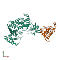 Hetero dimeric assembly 1 of PDB entry 3ryt coloured by chemically distinct molecules, front view.