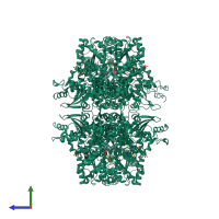 Homo tetrameric assembly 1 of PDB entry 3s28 coloured by chemically distinct molecules, side view.