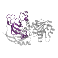 The deposited structure of PDB entry 3s2e contains 8 copies of Pfam domain PF08240 (Alcohol dehydrogenase GroES-like domain) in alcohol dehydrogenase. Showing 1 copy in chain A.