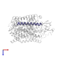 Cytochrome c oxidase polypeptide 2A in PDB entry 3s39, assembly 1, top view.