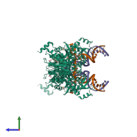 Hetero octameric assembly 1 of PDB entry 3s3o coloured by chemically distinct molecules, side view.