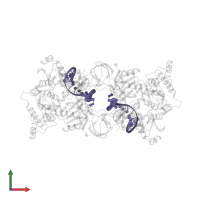 5'-D(*TP*GP*CP*GP*AP*AP*AP*TP*TP*CP*CP*AP*TP*GP*AP*CP*A)-3' in PDB entry 3s3o, assembly 1, front view.