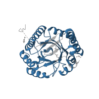 The deposited structure of PDB entry 3s42 contains 2 copies of Pfam domain PF01487 (Type I 3-dehydroquinase) in 3-dehydroquinate dehydratase. Showing 1 copy in chain A [auth B].