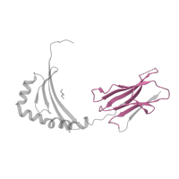 The deposited structure of PDB entry 3s4s contains 2 copies of Pfam domain PF07654 (Immunoglobulin C1-set domain) in HLA class II histocompatibility antigen, DRB1 beta chain. Showing 1 copy in chain B.