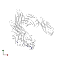 Hemagglutinin HA1 chain in PDB entry 3s4s, assembly 1, front view.
